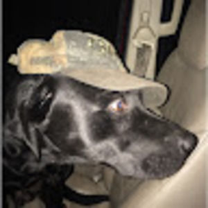 Meet your Posher, Casey